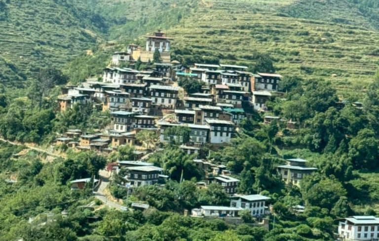 WhatsApp Image 2024-10-22 at 8.08.49 AM