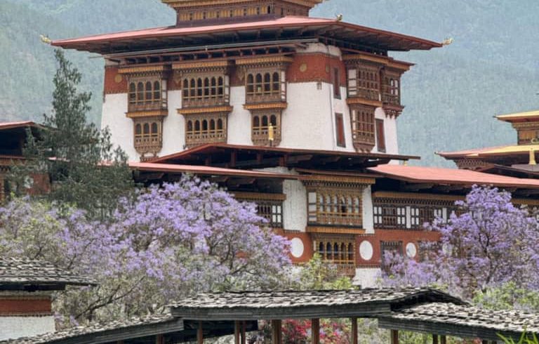 WhatsApp Image 2024-10-22 at 8.08.50 AM