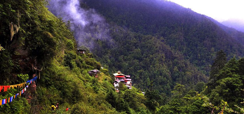 chumphu-nye-1525069445_850_400